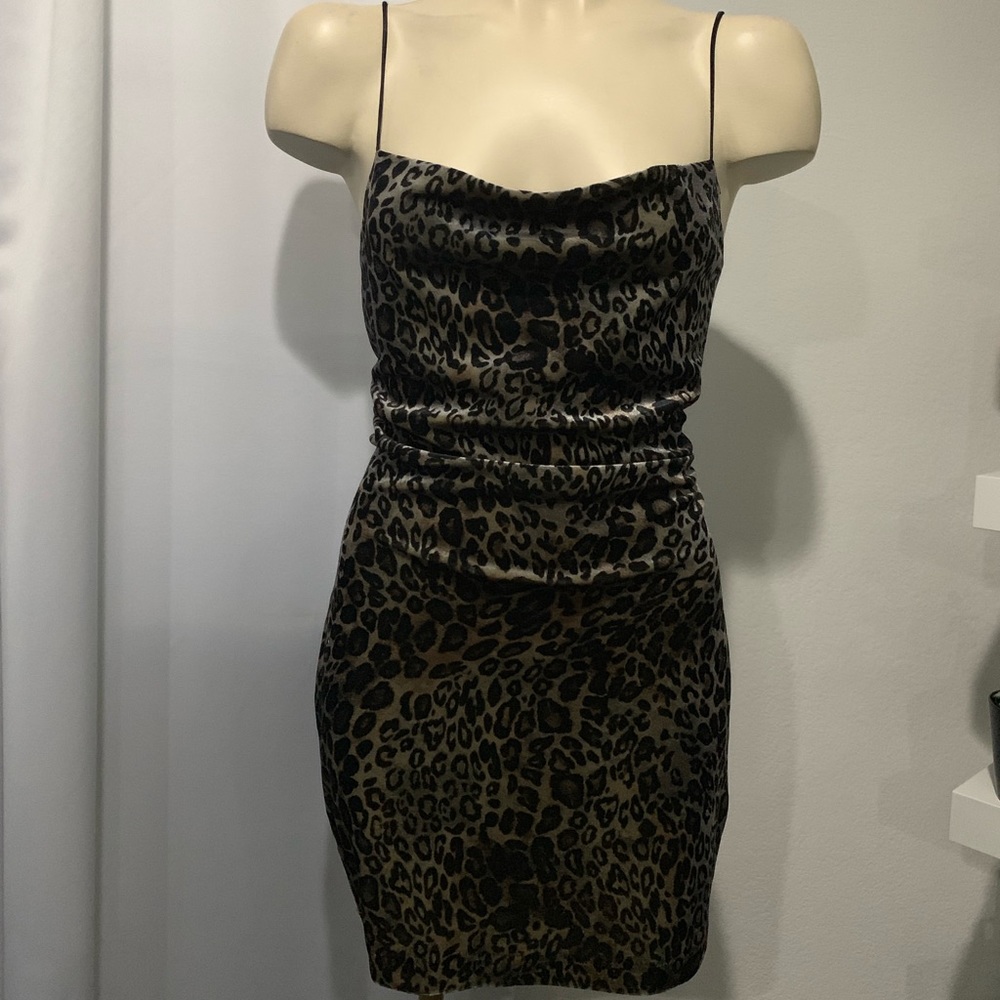 Leopard Skin
